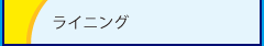 ライニング