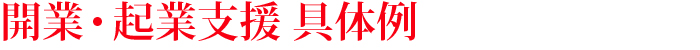 開業・起業支援　具体例